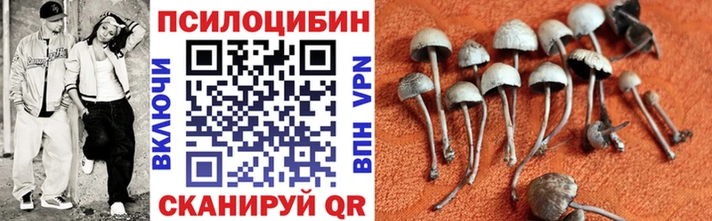 Галлюциногенные грибы Magic Shrooms где можно купить наркотик Георгиевск